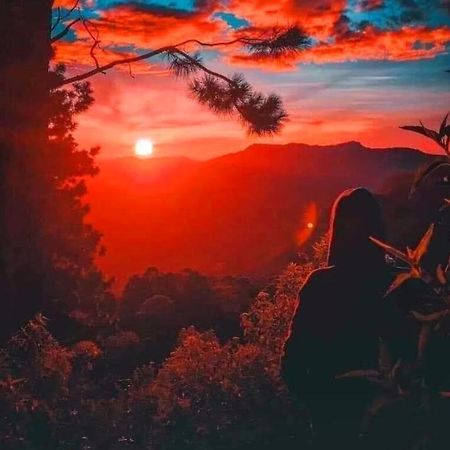 Bel View Guest House Haputale Bagian luar foto